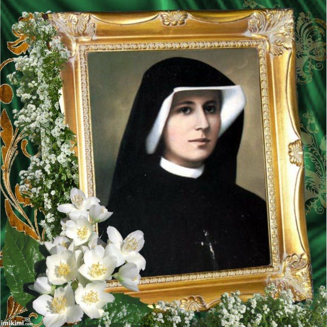 Sta Faustina flor grande